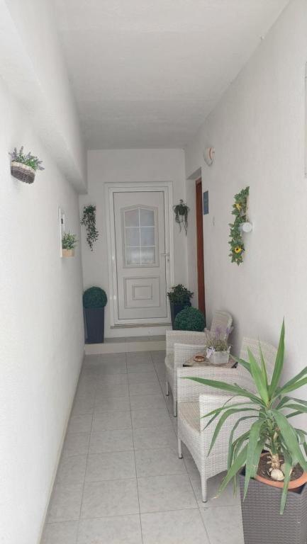 Apartments Mestral Baska Voda Exterior photo